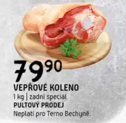 Terno Vepřové koleno nabídka