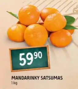 Terno MANDARINKY SATSUMAS nabídka