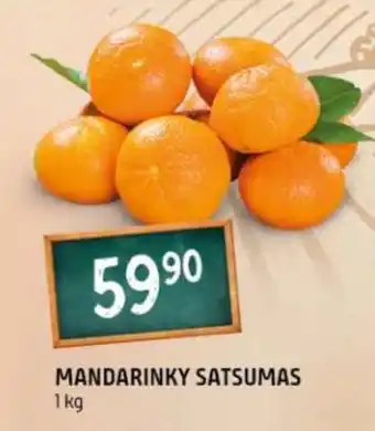 Terno MANDARINKY SATSUMAS nabídka