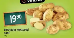 Terno Brambory konzumní rané nabídka