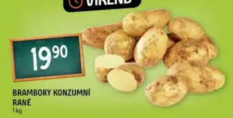 Terno Brambory konzumní rané nabídka