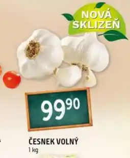 Terno Česnek volný nabídka