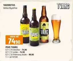 Terno Pivo Tvarg nabídka