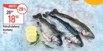 Globus Pstruh duhový kuchaný nabídka