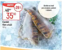 Globus Candát filet s kůží nabídka