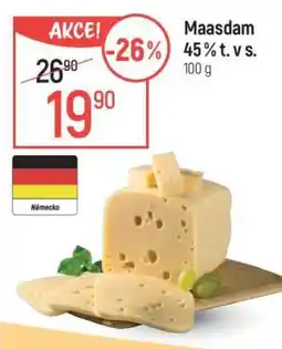 Globus Maasdam 45 % t. v s nabídka