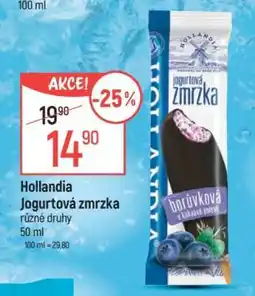 Globus HOLLANDIA JOGURTOVÁ ZMRZKA nabídka