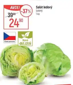 Globus Salát ledový nabídka