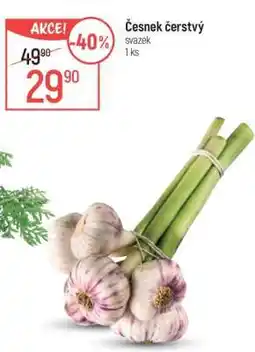 Globus Česnek čerstvý nabídka