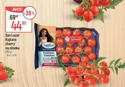 Globus San Lucar Rajčata cherry na stonku nabídka