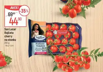 Globus San Lucar Rajčata cherry na stonku nabídka