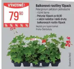Globus Balkonové rostliny 10pack nabídka