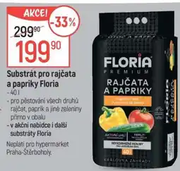 Globus Substrát pro rajčata a papriky Floria nabídka