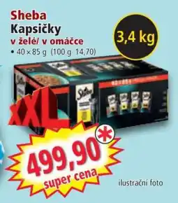 Norma Sheba Kapsičky nabídka