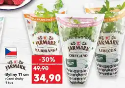 Kaufland Byliny 11 cm nabídka