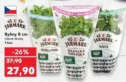 Kaufland JARMARK Byliny 8 cm nabídka