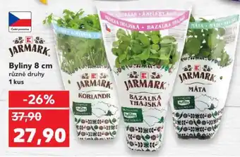 Kaufland JARMARK Byliny 8 cm nabídka