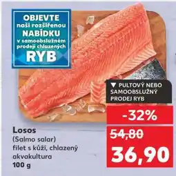 Kaufland Losos (Salmo salar) nabídka