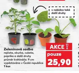 Kaufland Zeleninová sadka nabídka