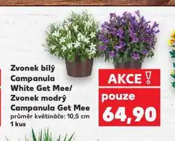 Kaufland Zvonek modrý nabídka