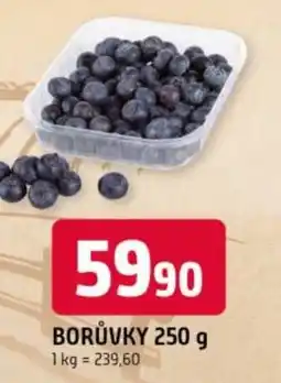 Trefa Borůvky nabídka
