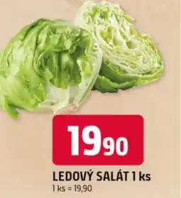 Trefa Ledový salát nabídka