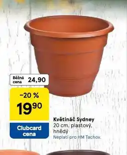 Tesco Květináč sydney nabídka
