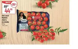 Globus Rajčata cherry na stonku nabídka