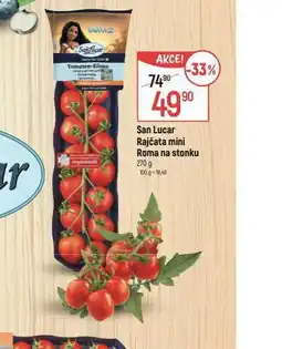 Globus Rajčata mini roma na stonku nabídka