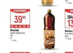 Globus Pivo březňák nabídka