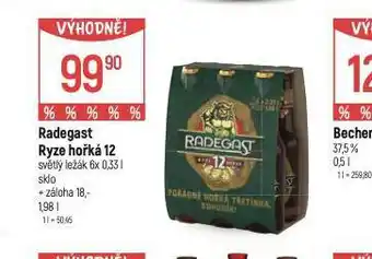 Globus Pivo radegast ryze hořká 12 nabídka