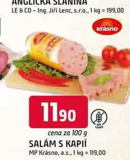 Trefa SALÁM S KAPIÍ MP 100 g nabídka