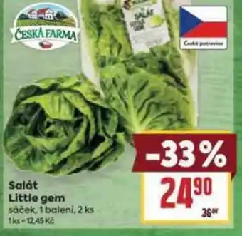 Billa Salát Little gem nabídka