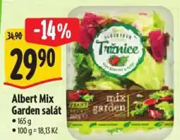 Albert Albert Mix Garden salát nabídka