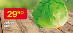 Hruška Ledový salát nabídka