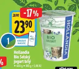 Albert Hollandia BIO Selský jogurt bílý nabídka