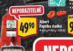 Albert Paprika nabídka