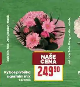 Billa Kytice piviňka s germini mix nabídka