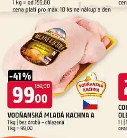 Terno Vodňanská kachna a nabídka
