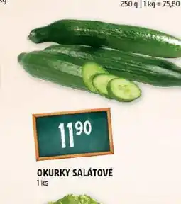 Terno Okurka salátové nabídka