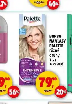 Penny Market Palette barva na vlasy nabídka