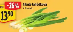 Albert Cibule lahůdková nabídka