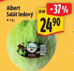 Albert Albert Salát ledový nabídka