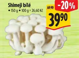 Albert Shimeji bílé nabídka