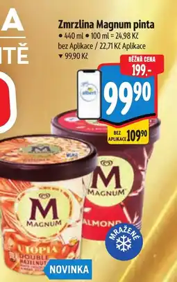 Albert MAGNUM Zmrzlina pinta nabídka