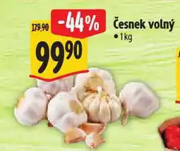 Albert Česnek nabídka