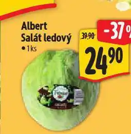 Albert Salát ledový nabídka
