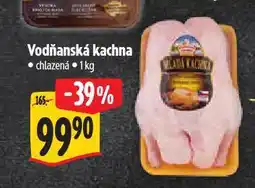 Albert Vodňanská kachna nabídka