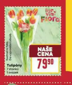 Billa Tulipány nabídka