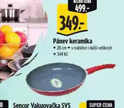 Albert Pánev keramika 28 cm nabídka
